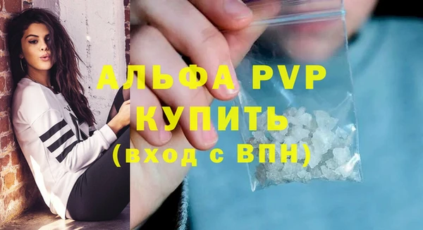 стафф Хадыженск