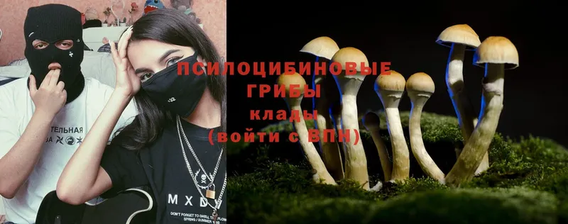 Псилоцибиновые грибы Psilocybe  дарнет шоп  Поронайск 